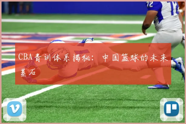 CBA青训体系揭秘：中国篮球的未来基石