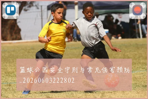 篮球公园安全守则与常见伤害预防_20260603222802
