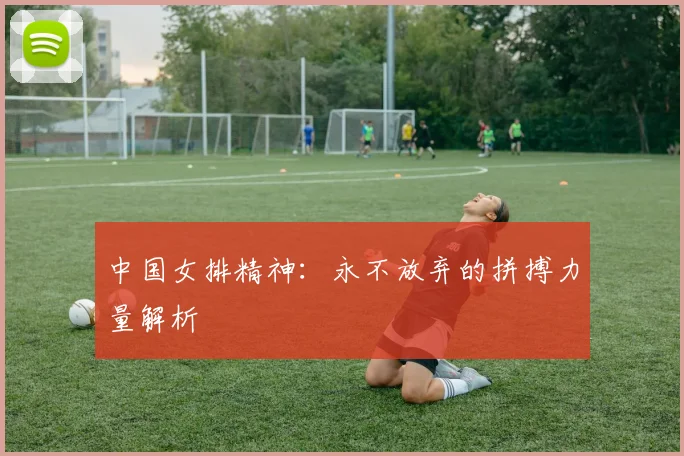 中国女排精神：永不放弃的拼搏力量解析