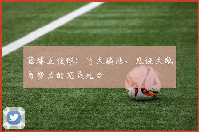 篮球五佳球：飞天遁地，见证天赋与努力的完美结合